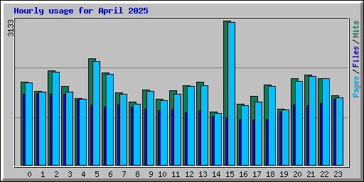 Hourly usage for April 2025