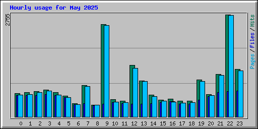 Hourly usage for May 2025