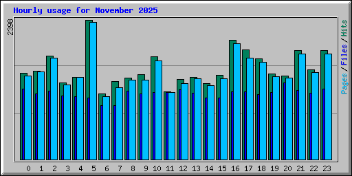 Hourly usage for November 2025
