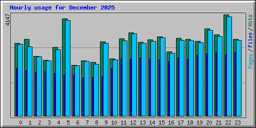 Hourly usage for December 2025